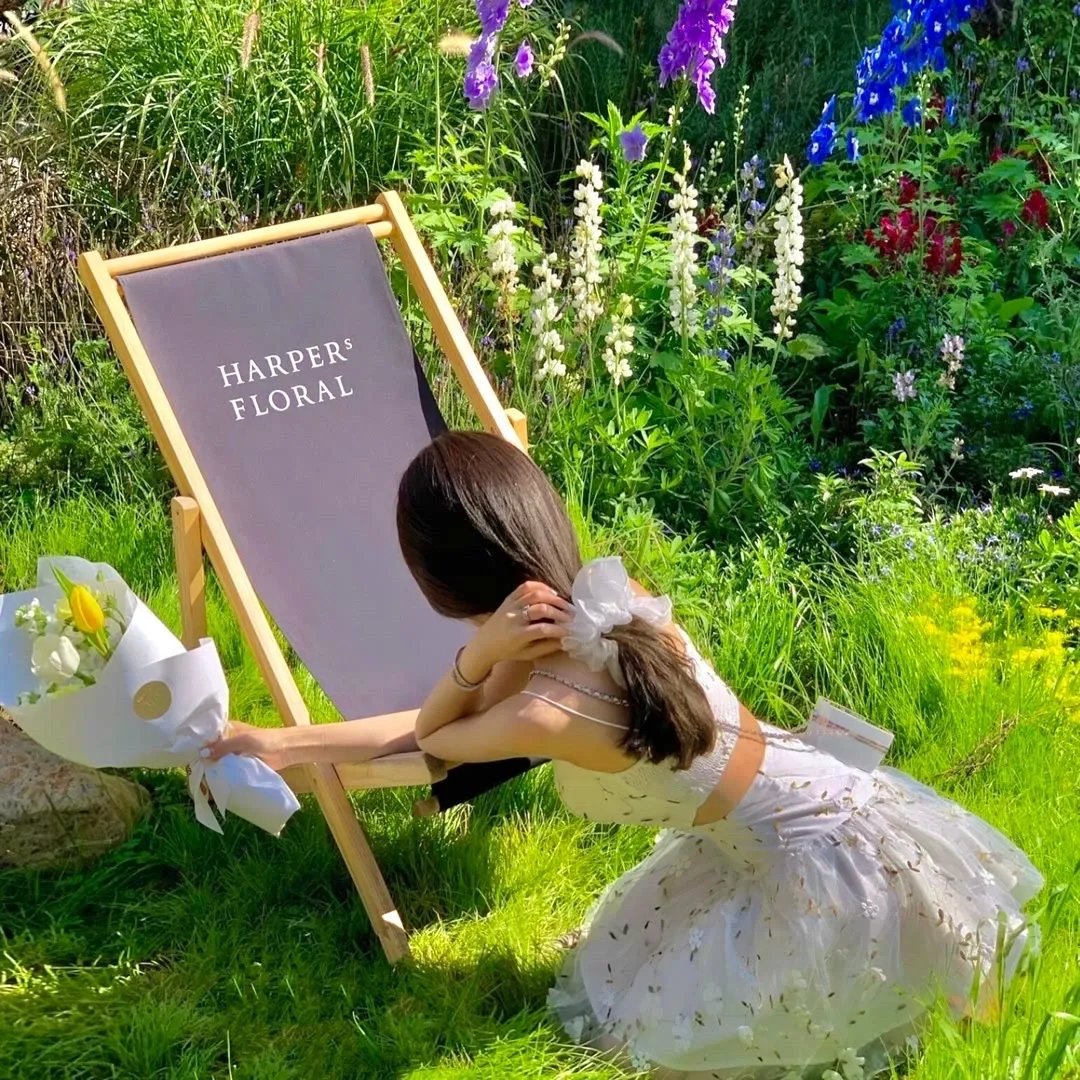 玩物人生
