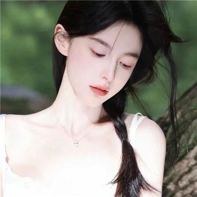 美国派2